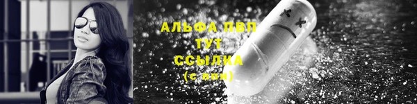 спиды Богородицк