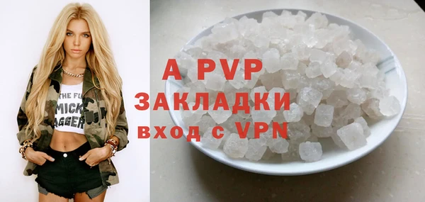 спиды Богородицк
