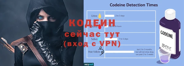 спиды Богородицк