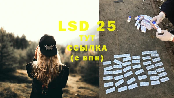 PSILOCYBIN Богородск