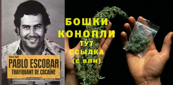 PSILOCYBIN Богородск
